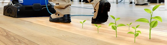 eco friendly hardwood flooring services